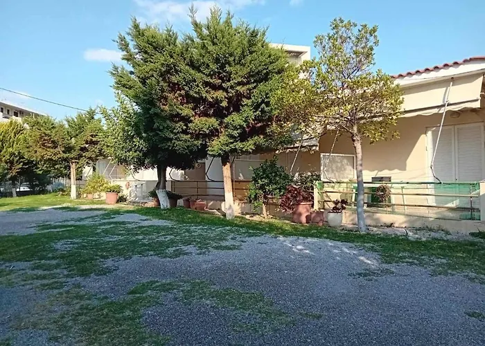Leylandi Rooms