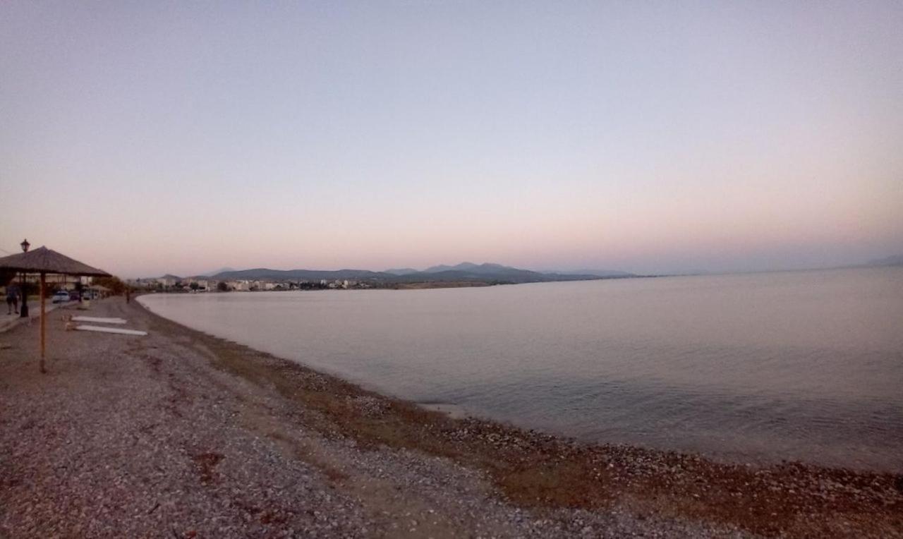 Apartment Leylandi *